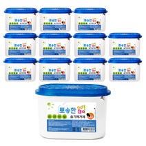 썬터치 뽀송한데이 참숯 습기제거제 본품, 525ml, 12개입