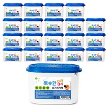 썬터치 뽀송한데이 참숯 습기제거제 본품, 525ml, 20개입