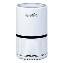 그린루프트 프리미엄 공기청정기 가정용, DGP-3100