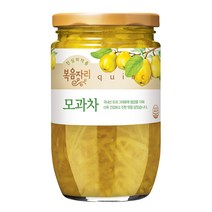 복음자리 모과차, 480g, 1개