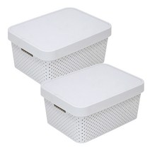 센스2030 커버 바스켓뚜껑정리함, 그레이, 2개