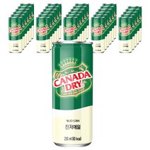 캐나다드라이 진저에일, 250ml, 30개
