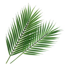 행복한마을 조화 아레카 야자 부쉬 2p, 2개