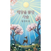 태양을 쫓던 사슴: 내 안의 빛, BARN