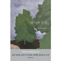 [은행나무]밤이여 오라 : 제9회 제주4.3평화문학상 수상작, 은행나무, 이성아