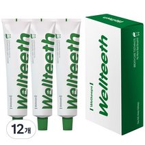 웰킵스 웰티스 구취 케어 치약, 100g, 12개