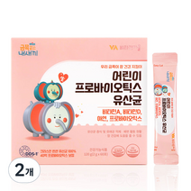 비타민마을 금쪽같은내새끼 40억보장 100% 크리스챤한센 어린이 유산균 60포, 120g, 2개