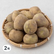 곰곰 밀양 수미 감자(햇), 2kg, 2개