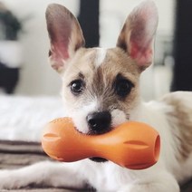 웨스트포우 퀴즐 노즈워크 훈련용 강아지 장난감 L, 오렌지, 1개