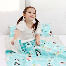 와이즈마마 일반형 경추 마이크로화이버 속통 여름 낮잠이불 세트 일체형, 폴라
