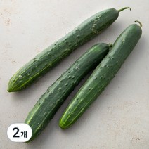 취청오이, 3개입, 2개