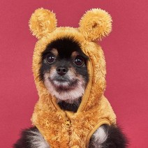 도그아이 반려동물 곰 후드 베스트, 머스타드