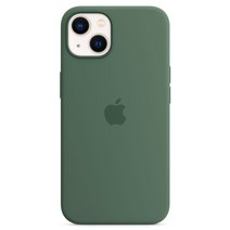 Apple 정품 아이폰 맥세이프 실리콘 케이스
