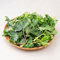 곰곰 국내산 방풍나물, 300g, 1봉