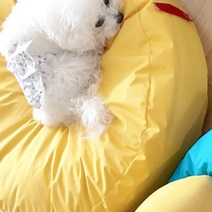 퍼피엔젤 쏘오옥 마가지오 방수 강아지 쿠션 PA-BD183, 290 Yellow