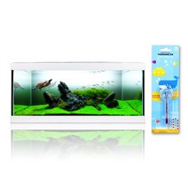 모비딕 50슬림 모던 어항 White + 온도계 랜덤발송, 혼합색상