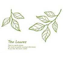 데코사랑 그래픽스티커 더리브즈, E(올리브그린)