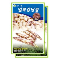 다농 얼룩 강낭콩 씨앗, 2팩