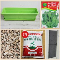 행복한세상 텃밭가꾸기 대 그린 시금치, 1개