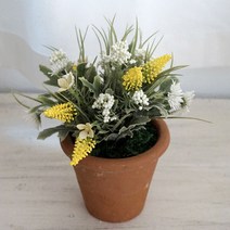 플라워마트 베로니아 엔틱레드포트, 옐로우