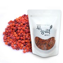 초능력 마가목열매 약초, 100g, 1개