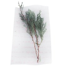 티나피크닉 핑크문구 비접착 포장 봉투 10 x 16 cm, 1개입, 100개