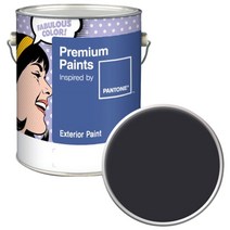 노루페인트 팬톤 외부용 실외 저광 페인트 4L, 19-0303 Jet Black, 1개
