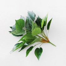 블루밍앤미 Green 카라 조화 부쉬, 그린