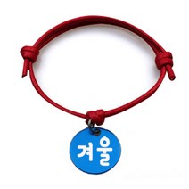 펫츠룩 굿모닝 레드 반려동물 목걸이 M + 알미늄원형 팬던트 M, 블루(겨울), 1개