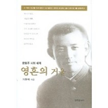영혼의 거울 (윤동주 시의 세계), 한국문화사