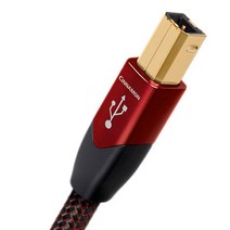 오디오퀘스트 USB 2.0 Cinnamon A to B USB 2.0 AV케이블 0.75m