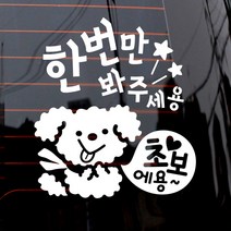 제제데코 자동차 스티커 한 번만 봐주세용 푸들이, 화이트, 1개