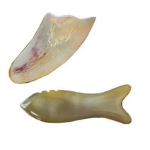 헬스플러스 괄사패키지 BJ-038B + BJ-6002, 1세트, 혼합 색상