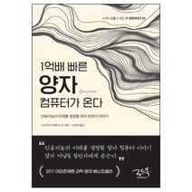 1억배 빠른 양자 컴퓨터가 온다:인공지능의 미래를 결정할 양자 컴퓨터 이야기, 로드북