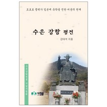 수은 강항 평전:포로로 끌려가 일본에 유학을 전한 비운의 천재, 사람들, 강대석 저