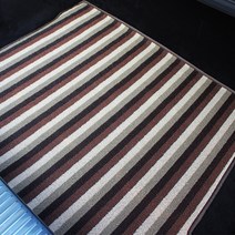 더존 세니스 트렁크매트 스트라이프 코코넛, 티볼리