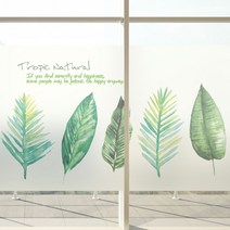 뭉키월드 고급칼라 안개시트 + 밀대, 트로픽 01