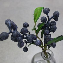 블랙앤화이트 인테리어 조화 꽃화분 열매픽, 블랙, 1개