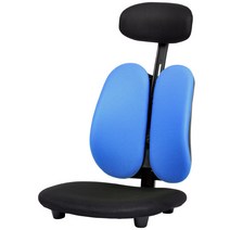 청심의자 휴먼좌식의자 H02 헤더형, 메쉬원단(블루)