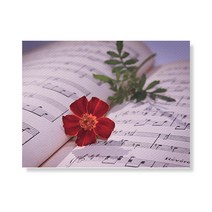 리틀하이커 flower 캔버스액자A3W35 181