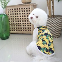 이츠독 알로하 반려견 래시가드, 바나나