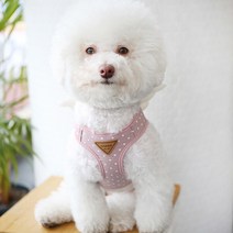 이츠독 스위티엔젤 하네스 블루 핑크, 핑크_M