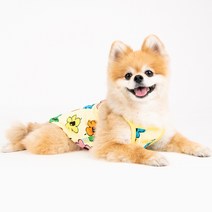 올치 꽃놀이가요 티셔츠, 옐로우