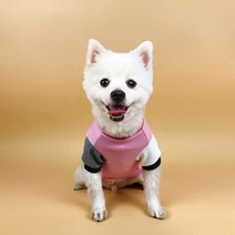세븐펫 강아지옷 마카롱 맨투맨 티셔츠, 핑크