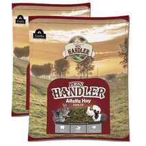 펫츠핸들러 프리미엄 토끼&기니피그 알팔파 건초, 500g, 2개