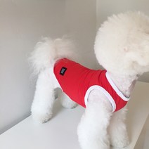 매그독 강아지 점프 민소매 티, 레드