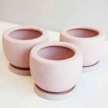 도시정원 모던 반구 도자기 화분 3p, 핑크