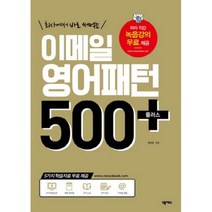 이메일 영어패턴 500 플러스, 넥서스