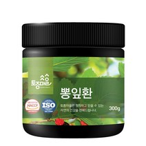 토종마을 HACCP 인증 뽕잎환, 300g, 1개