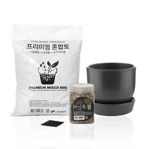 삼호유리 간편 분갈이 로마 화분 세트, 그레이